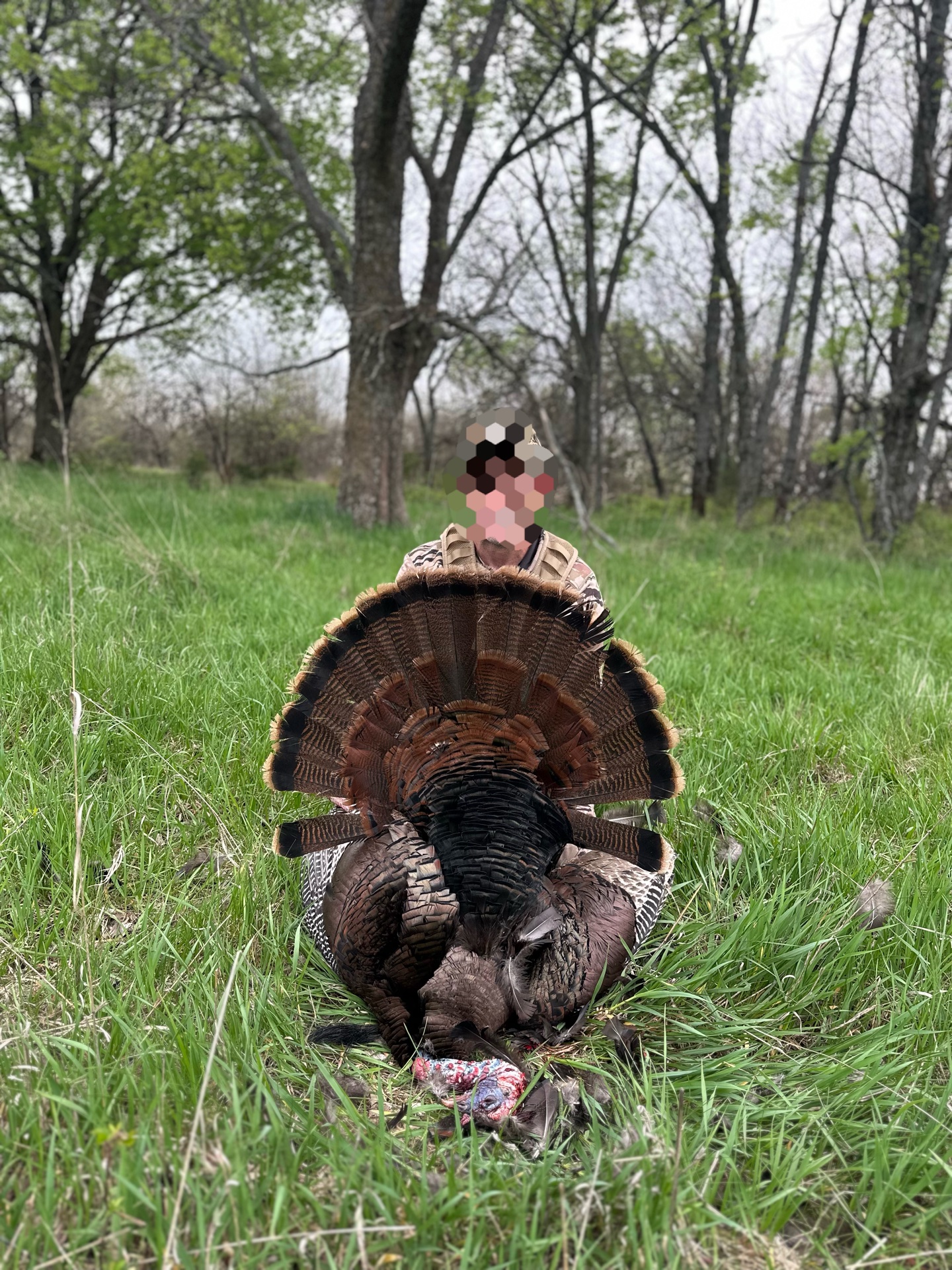 20250422_020938083_iOS