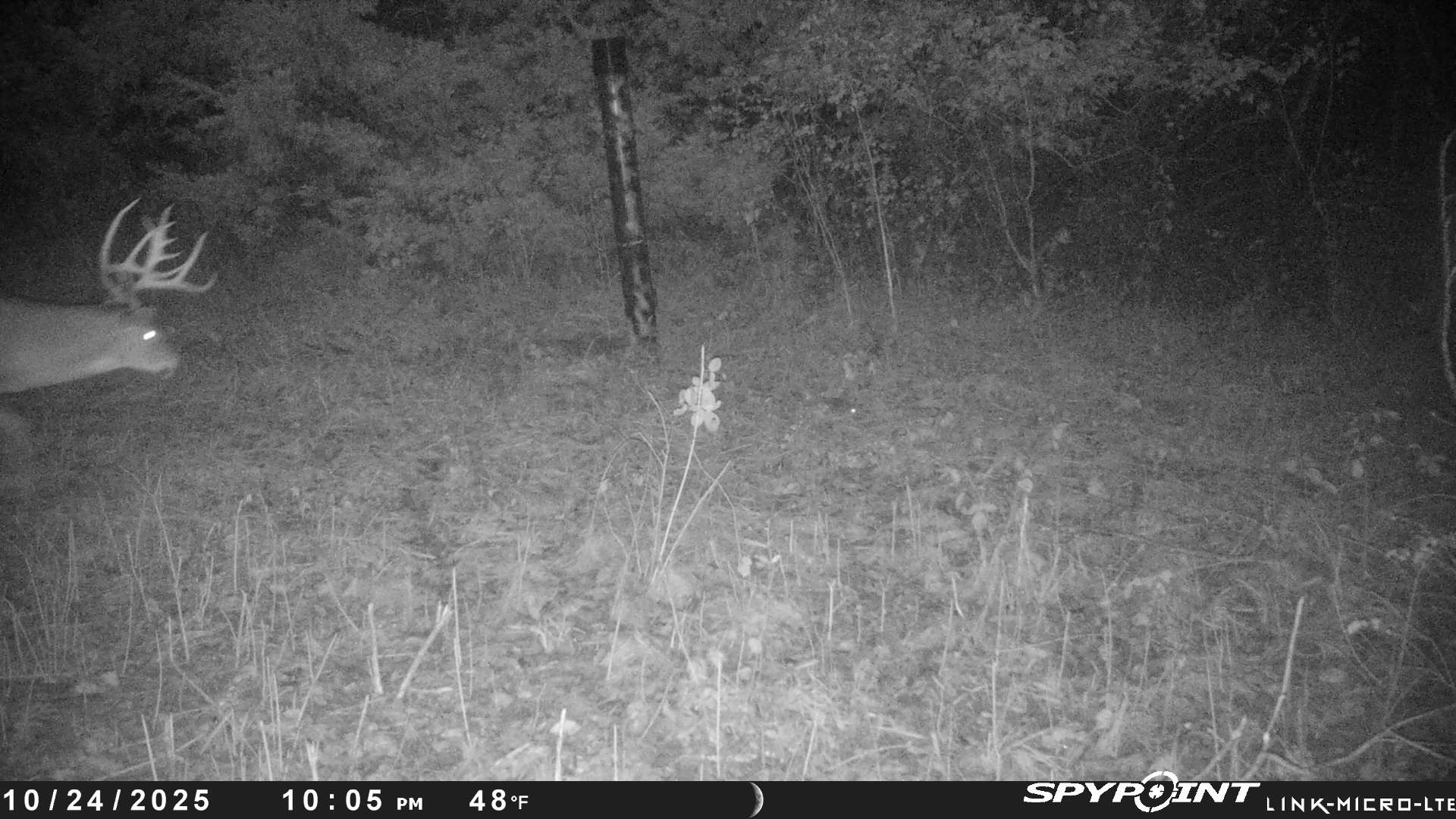 20251025_140848886_iOS