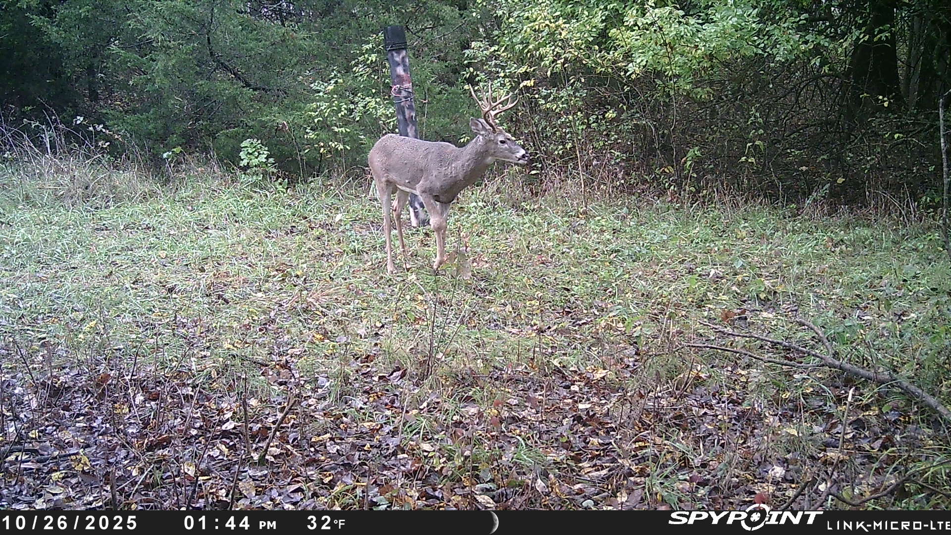 20251027_022006250_iOS