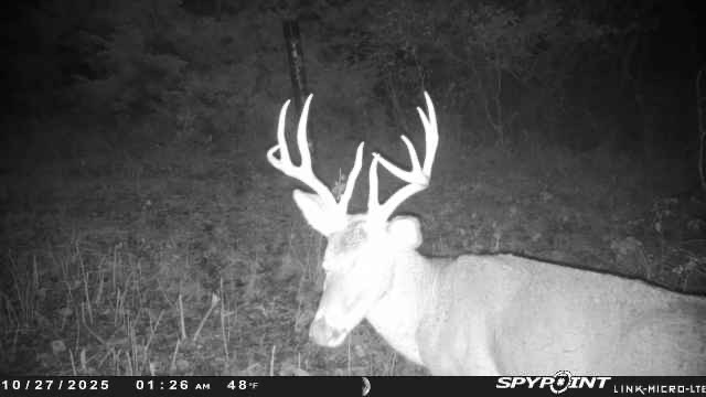 20251027_113556604_iOS