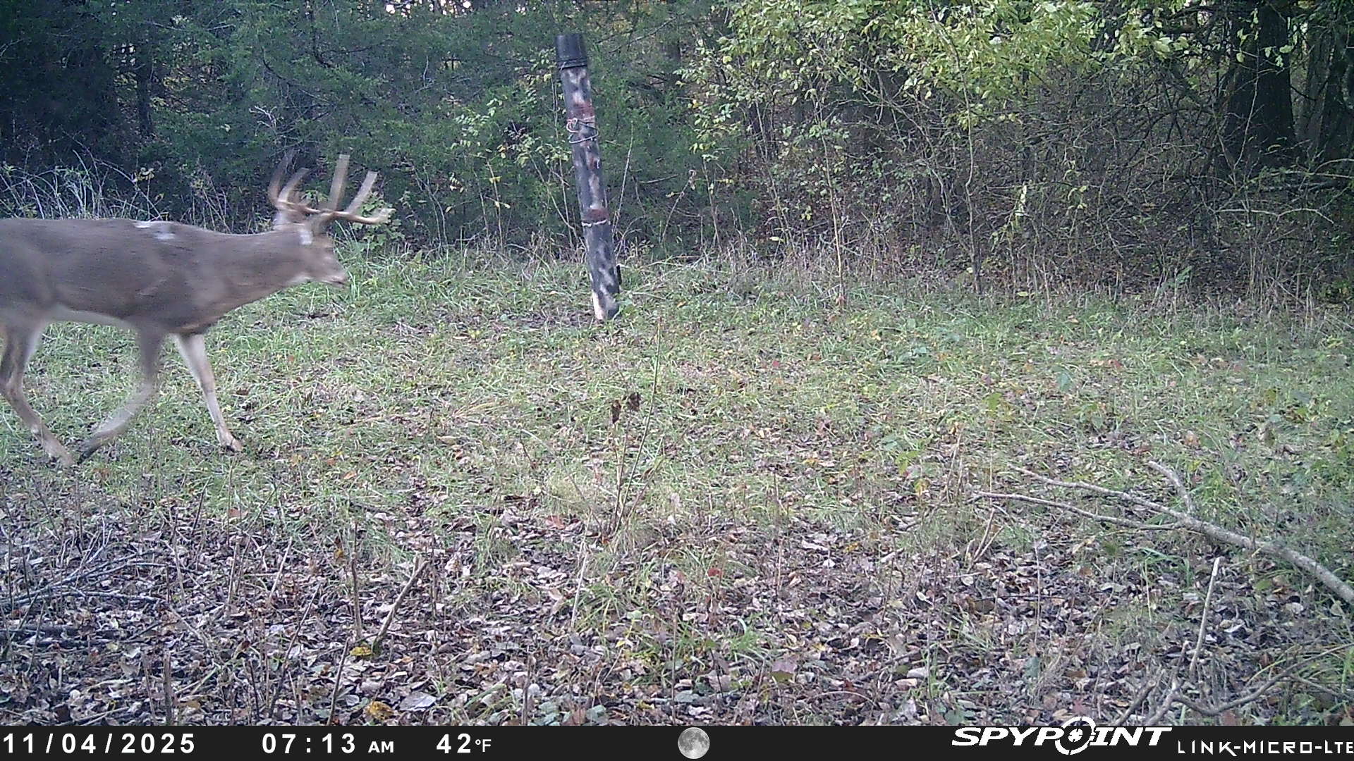 20251105_184712526_iOS