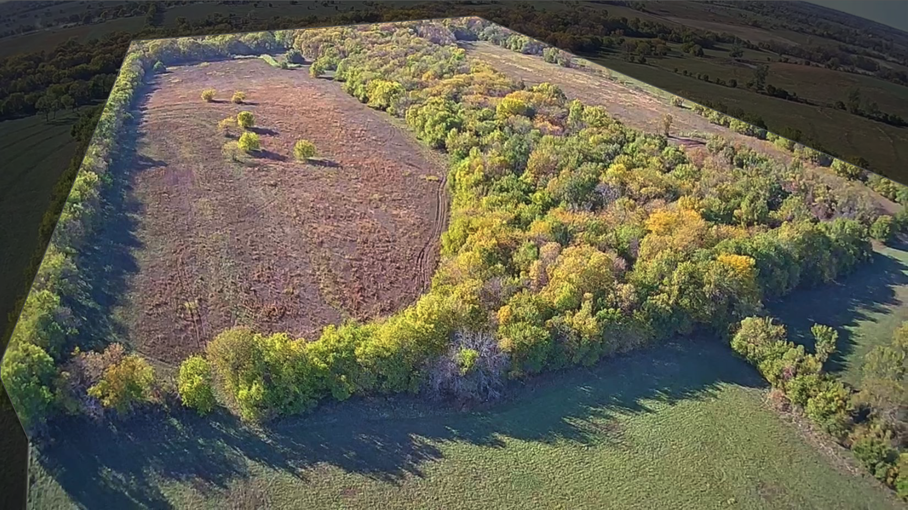 Screenshot 2024-03-15 at 11.42.04 AM