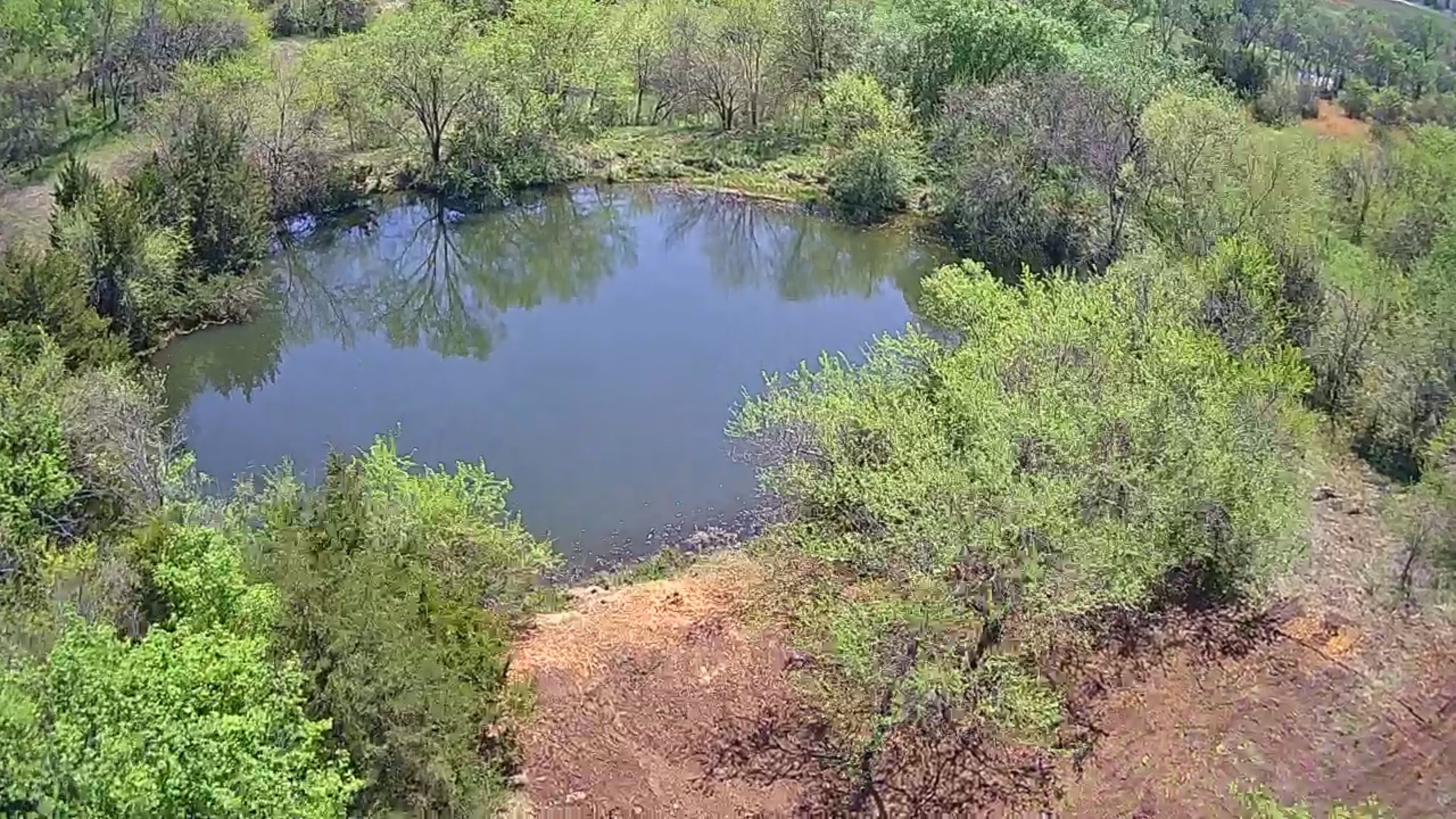 Aerial6