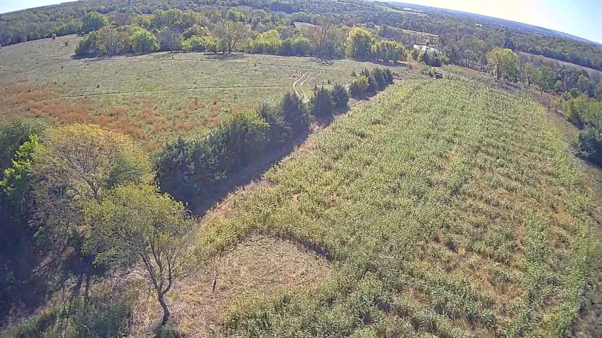 Aerial9