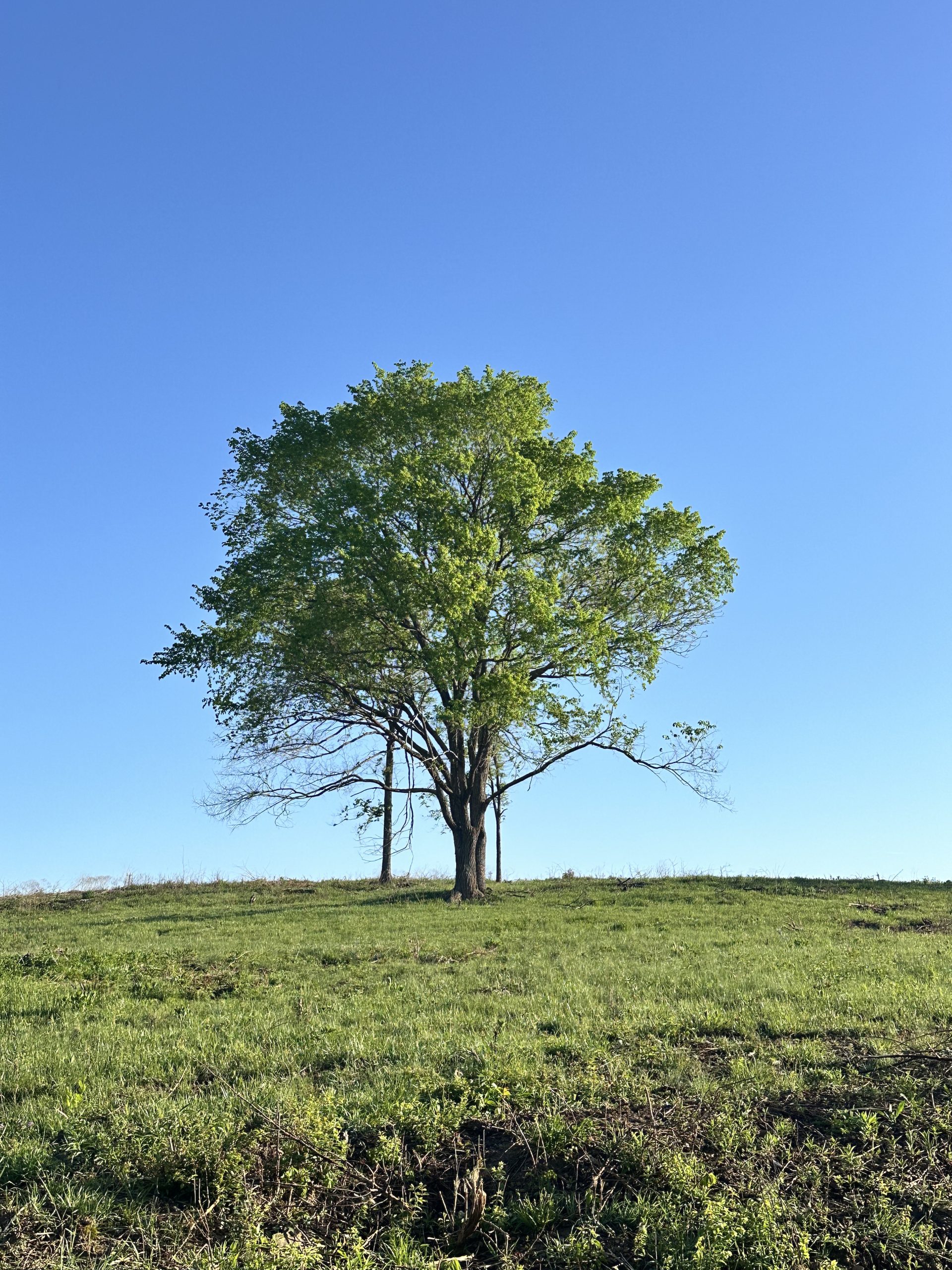 Scenery2