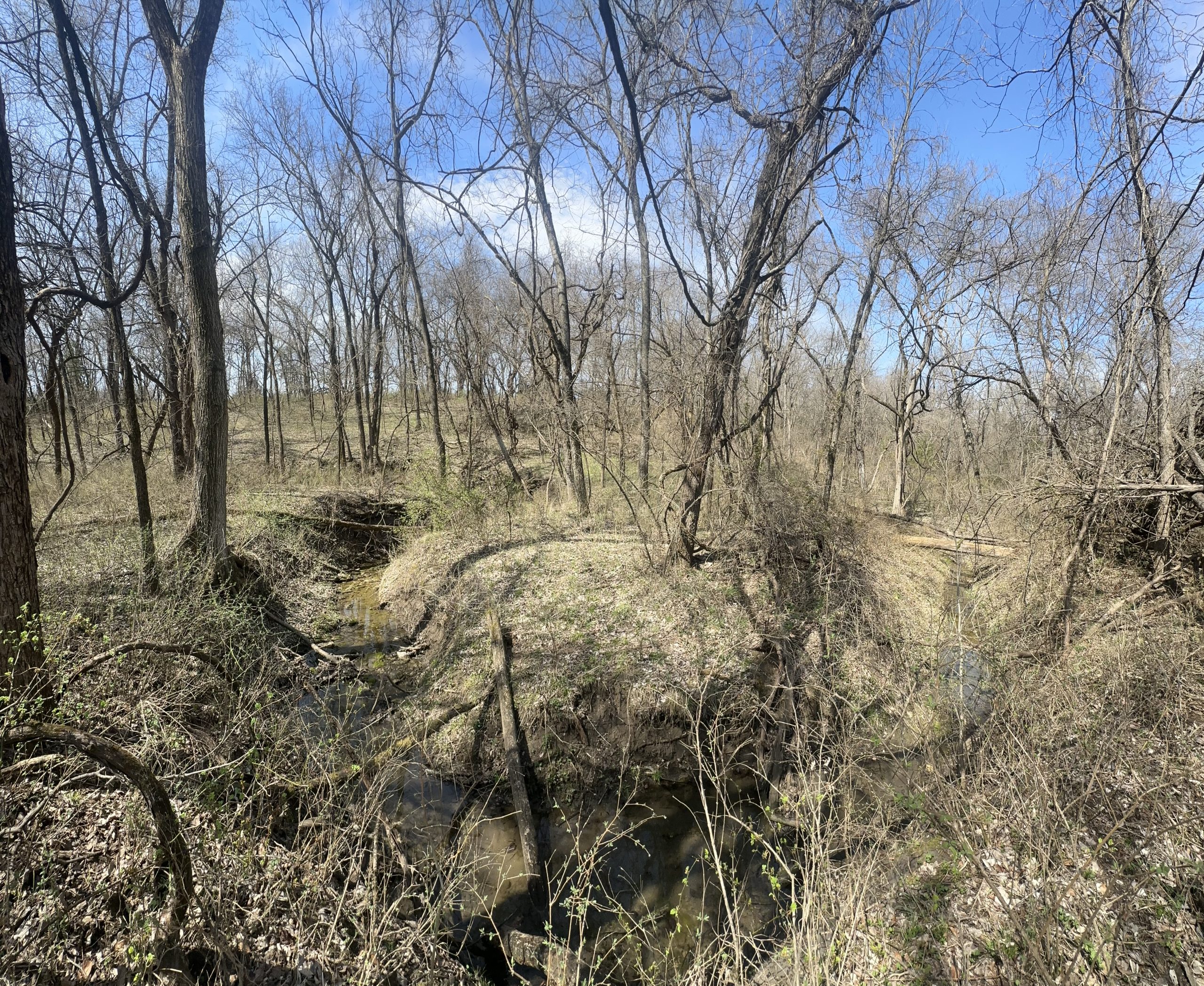 Scenery8