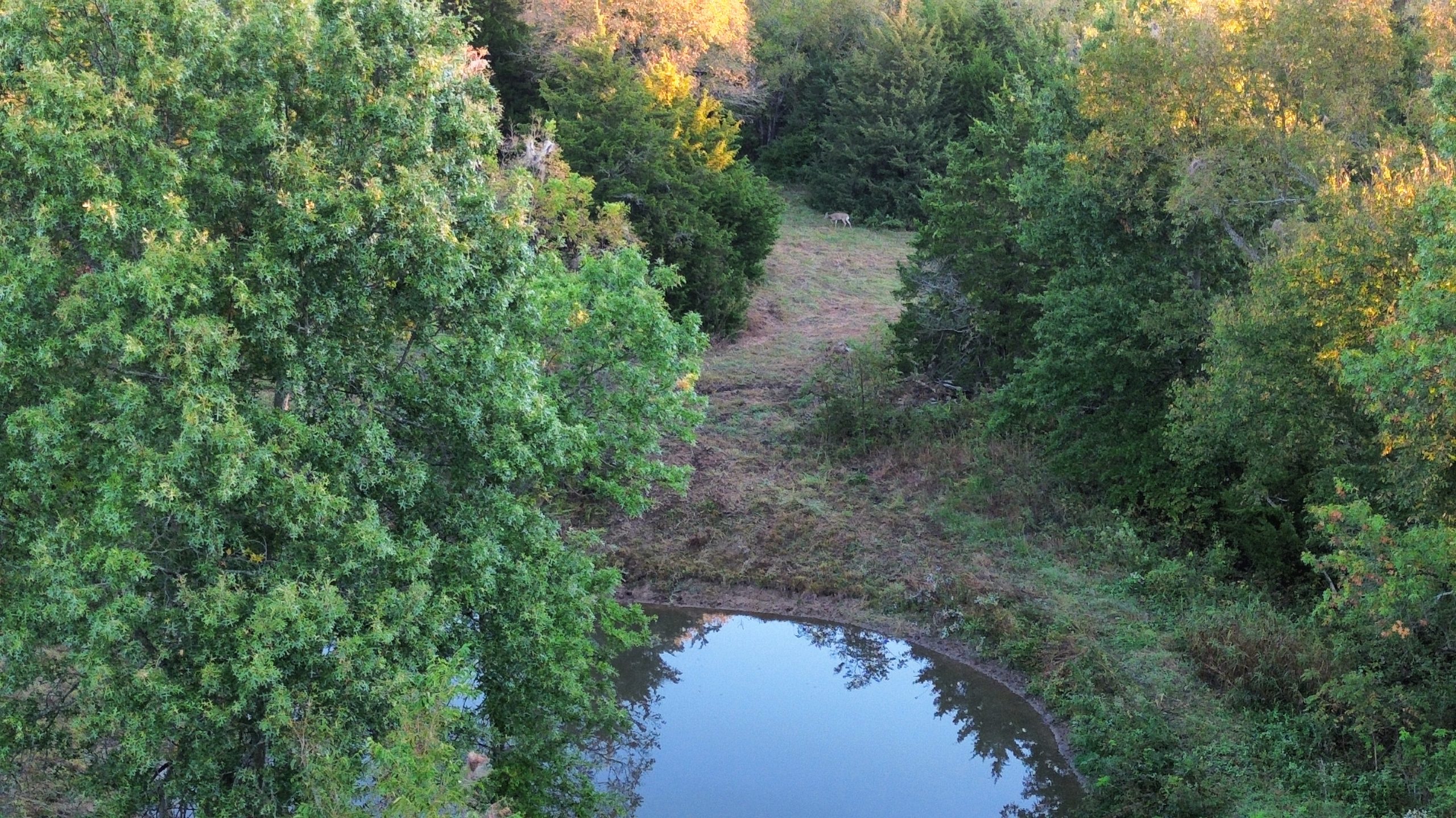 DCIM100MEDIADJI_0454.JPG